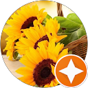 Romina D. profile picture